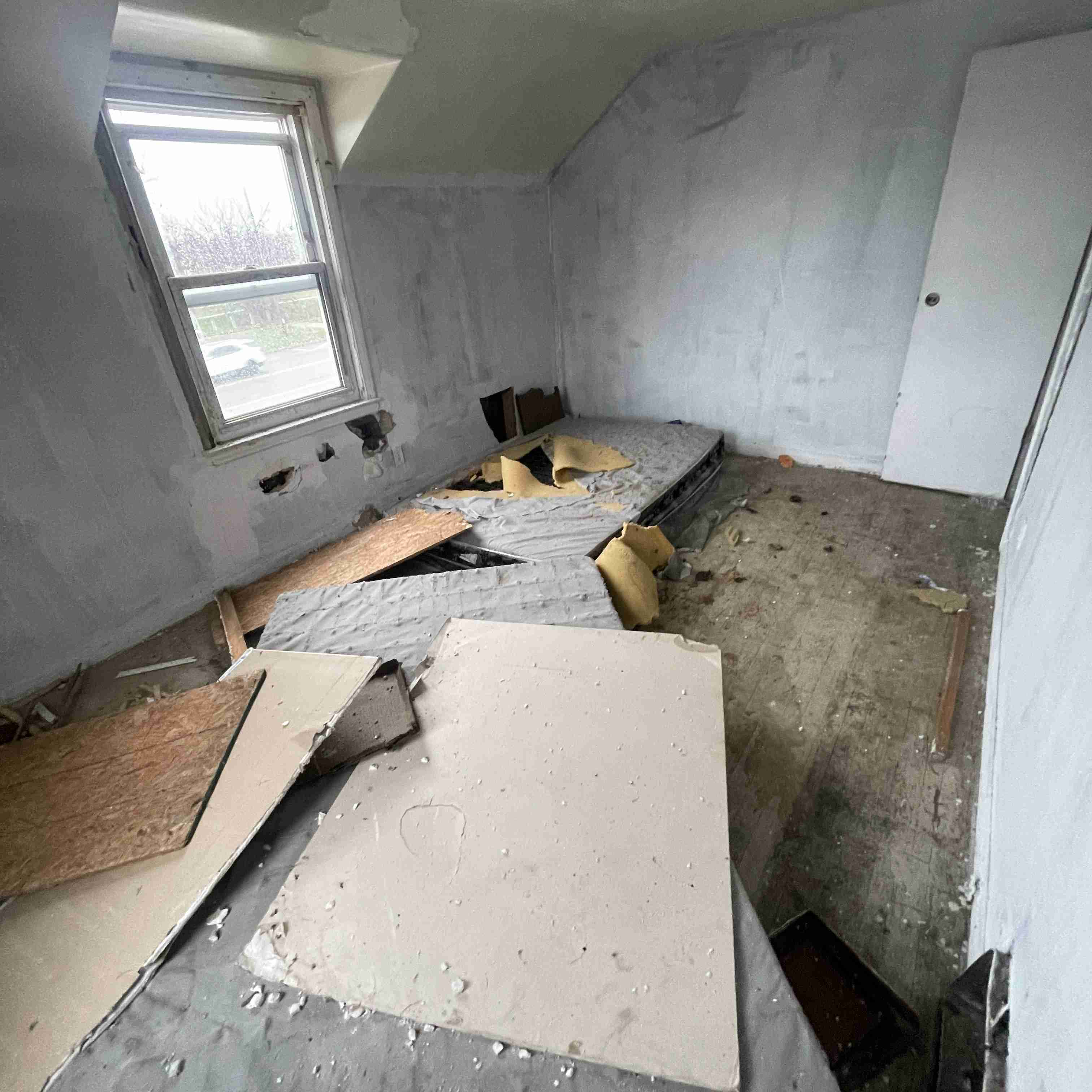 20017 Schoenherr (83).jpg